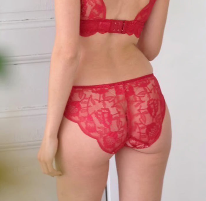 Protea Bikini | Berry