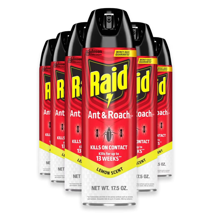 Raid Ant & Roach Killer Aerosol Insect Spray Lemon Scent 17.5 oz - 6 Pack