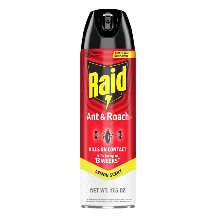 Raid Ant & Roach Killer Aerosol Insect Spray Lemon Scent 17.5 oz - 6 Pack