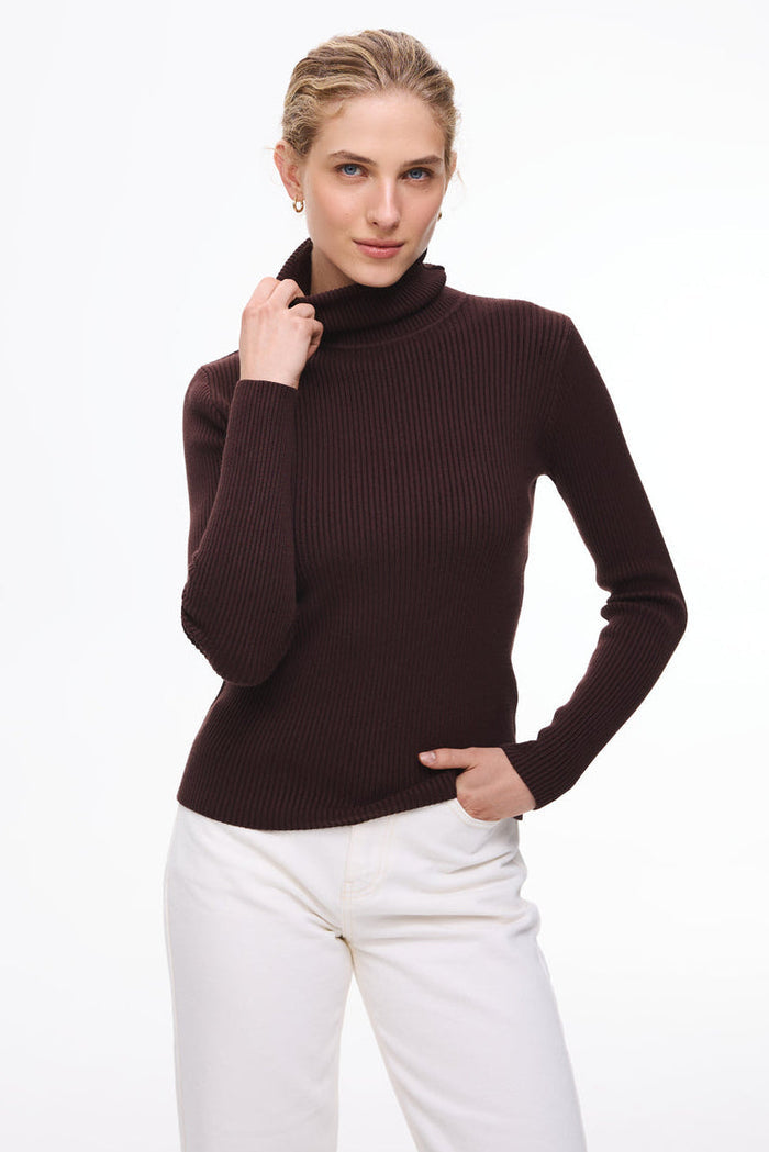 Ribbed turtleneck sweater in color brown