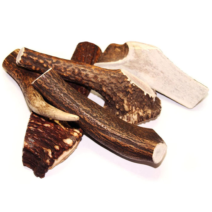 Royal Brown Whole Deer Antler