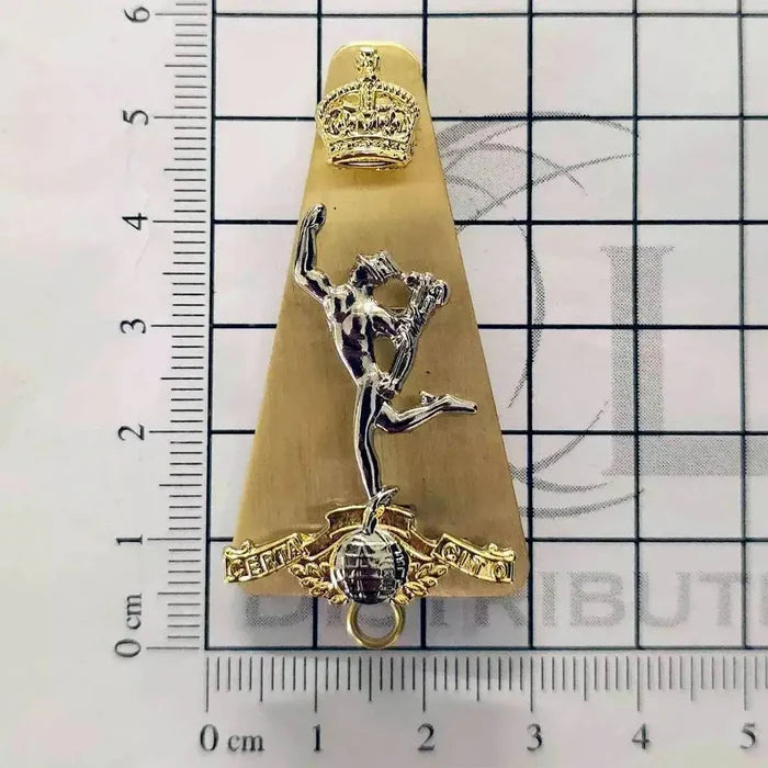 Royal Signals Cap Badge with Kings Tudor Crown displayed on a measurement grid, showcasing its brass and silver design with Mercury and Tudor Crown details.  from  John Bull Clothing