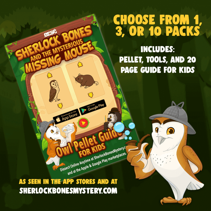 Sherlock Bones game pack featuring owl pellet guide and tools for kids, available in various quantities.