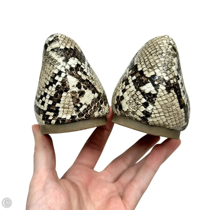 Shoes Flats By Esprit In Snakeskin Print, Size: 7.5