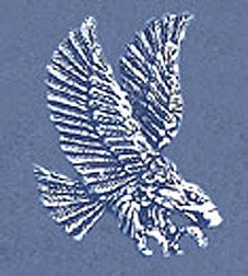 Solid Sterling Silver Small, Medium or Large Finished Antique Eagle, Bald Eagle, Charm, DYI Jewelry, With Loop on Back, 570-075/076/077