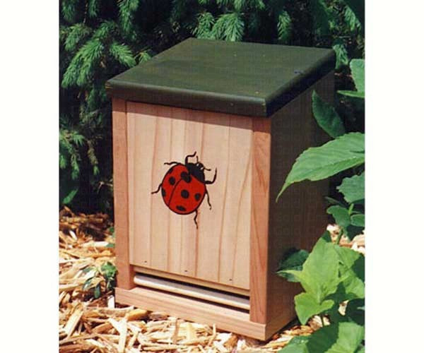 Songbird Essentials Ladybug House