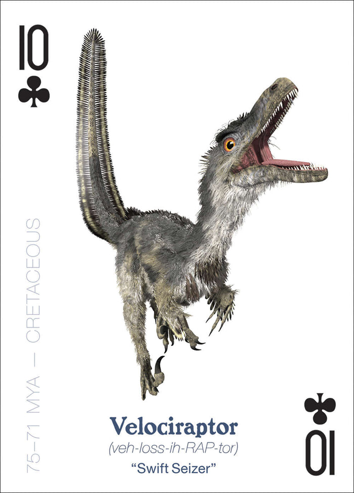 PlayingCardDecks.com-The Amazing World of Dinosaurs Playing Cards