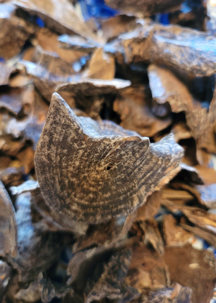 Vietnamese 100% pure natural, super king AAA+ agarwood - theperfumist