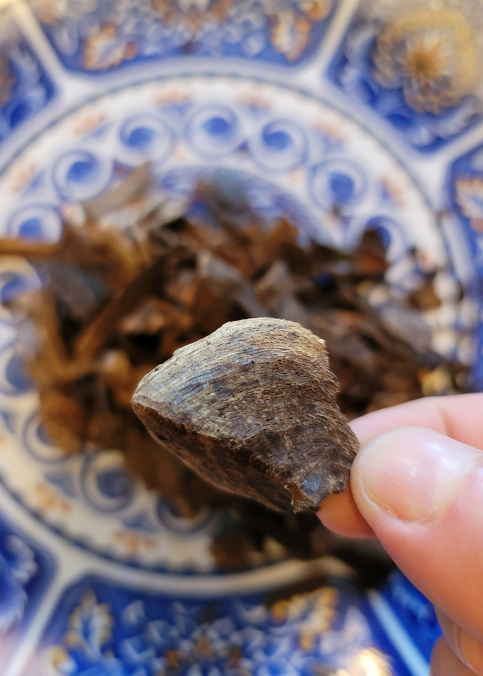 Vietnamese 100% wild, pure natural, sinking King agarwood, under the soil. - theperfumist
