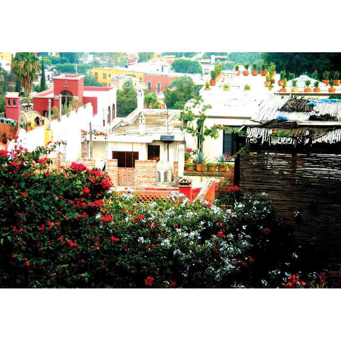 Rooftop garden in Mexican town with homes below wall decal printed | Wallhogs