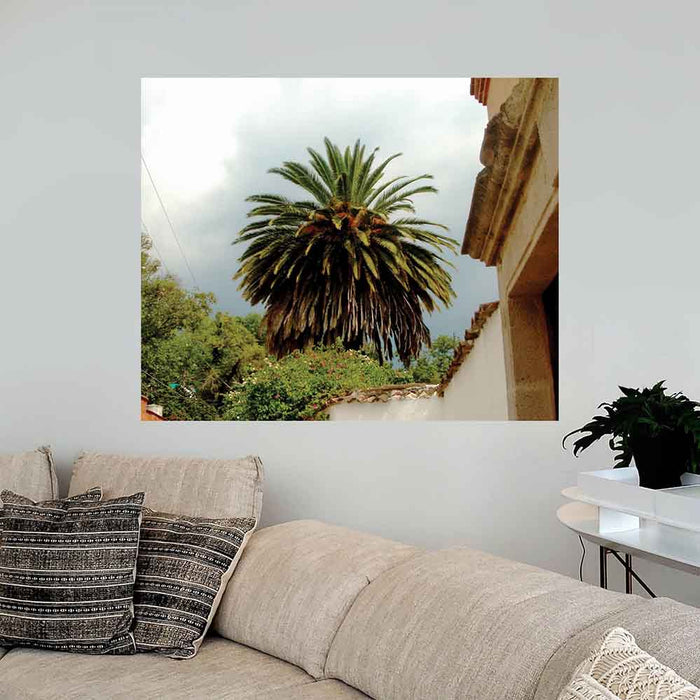 29.5x36 inch Mexico Palm Tree Poster Displayed Above Couch