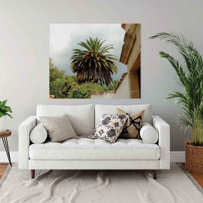 49x60 inch Mexico Palm Tree Poster Displayed Above Sofa