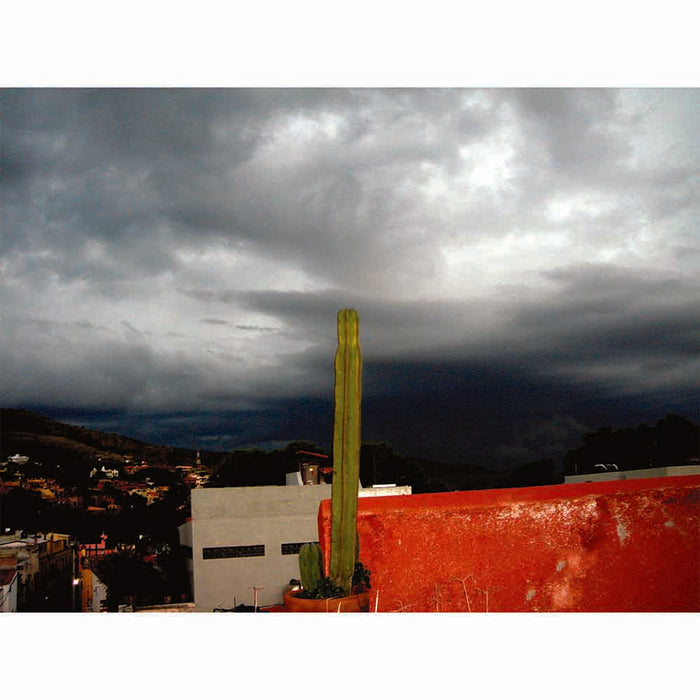 Cactus on a red ledge with a dark, stormy, cloudy sky wall decal printed | Wallhogs