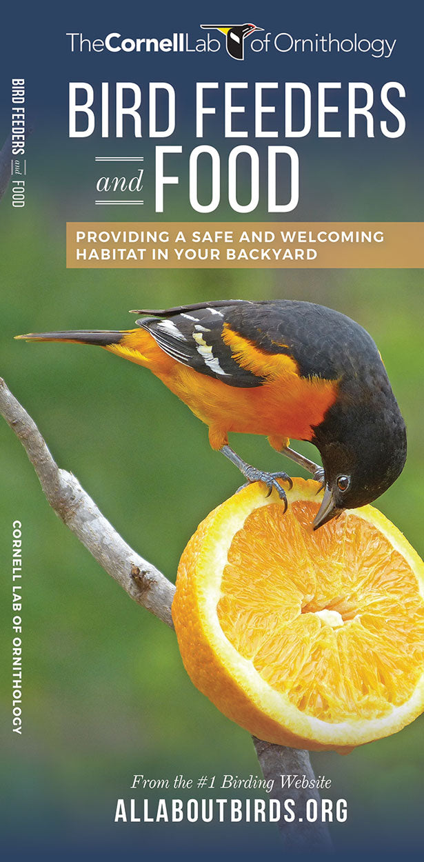 Waterford Press Bird Feeders And Food