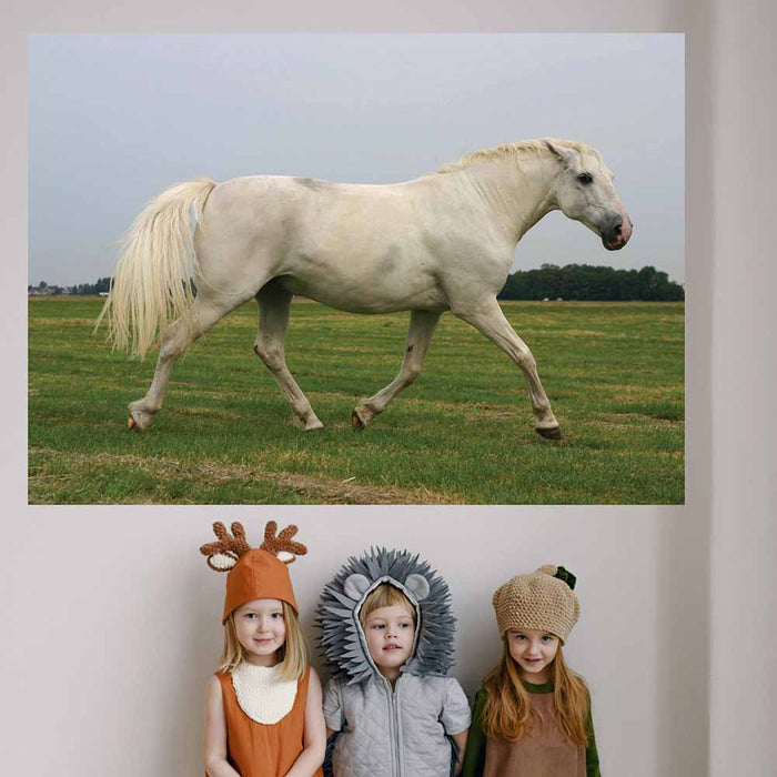 48 inch White Mustang Decal Installed in Kids Room