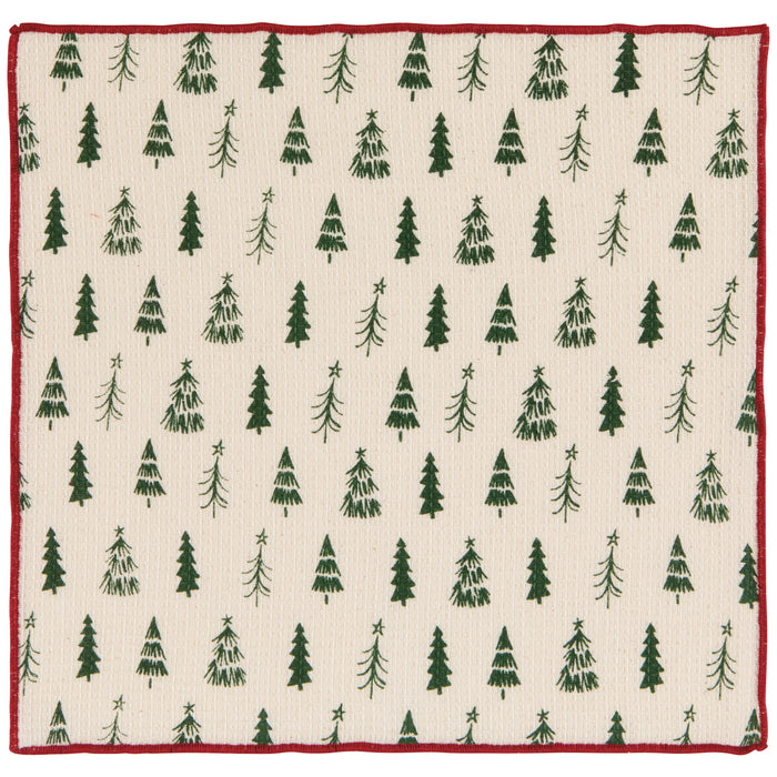 Winter Dishcloth