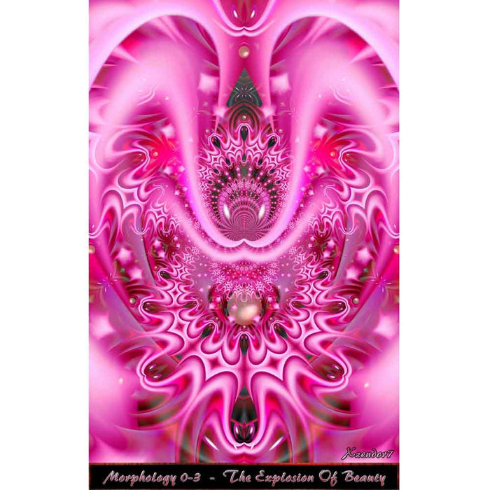 Explosion of Beauty Gloss Poster Printed | Wallhogs