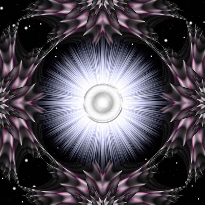 Garden of Light Fractal Art Wall Decal Printed | Wallhogs